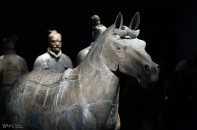 Terracotta Warriors – H